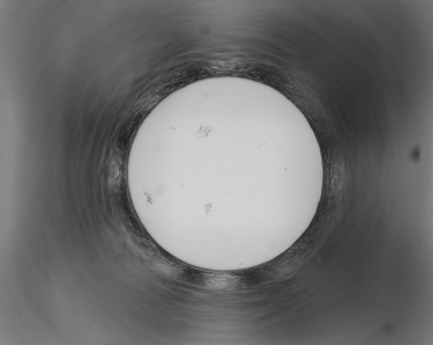 X0000115230226200912111038