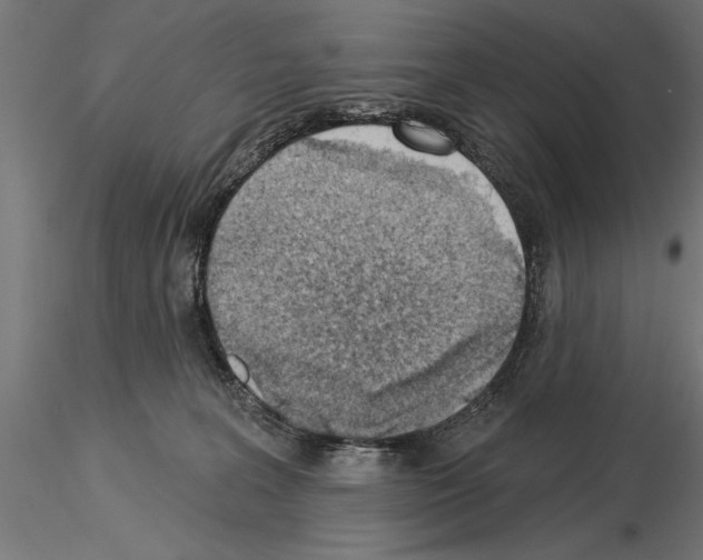 X0000115230227200912111038