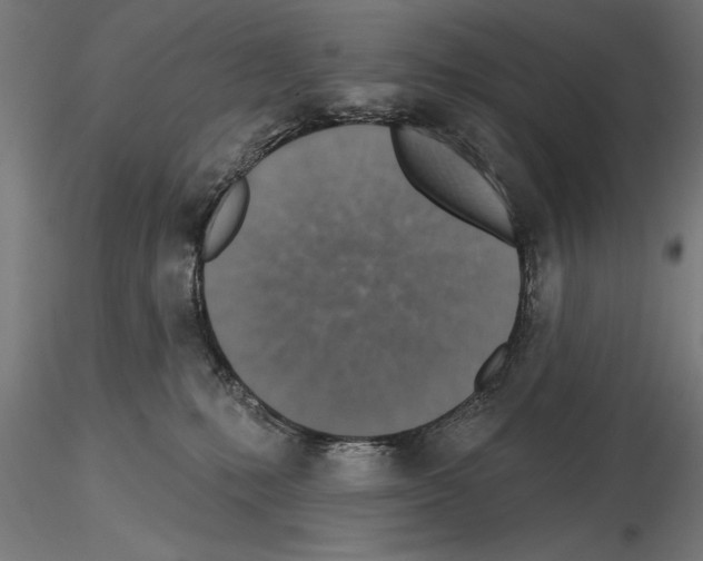 X0000115230231200912111038