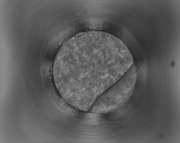 X0000115230233200912111038