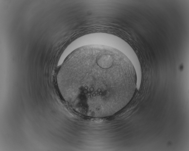 X0000115230235200912111038