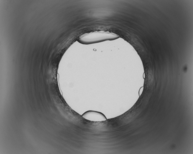 X0000115230236200912111038