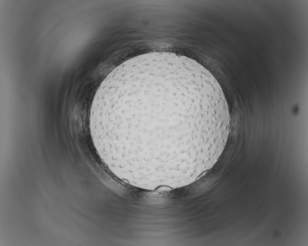 X0000115230238200912111038