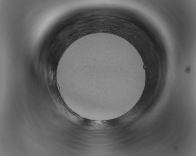 X0000115230239200912111038