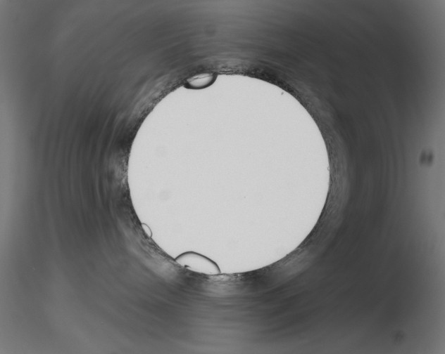 X0000115230240200912111038