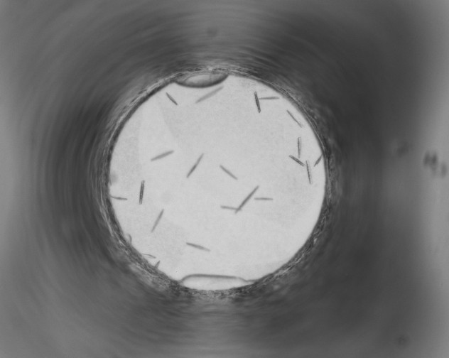 X0000115230241200912111037