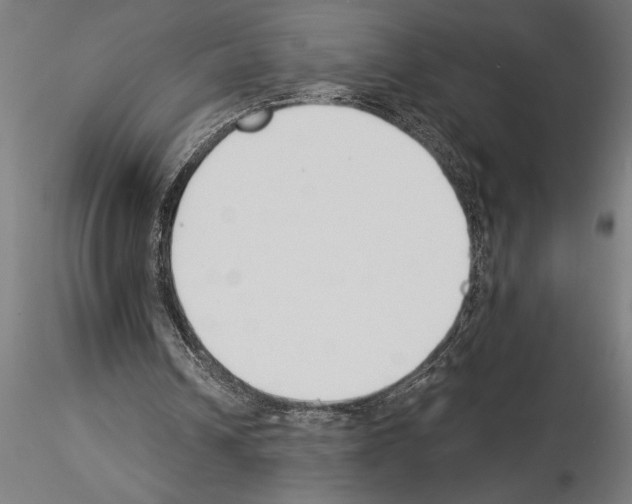 X0000115230242200912111037