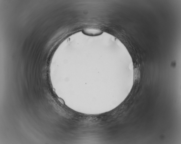 X0000115230243200912111037