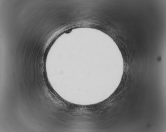 X0000115230244200912111037