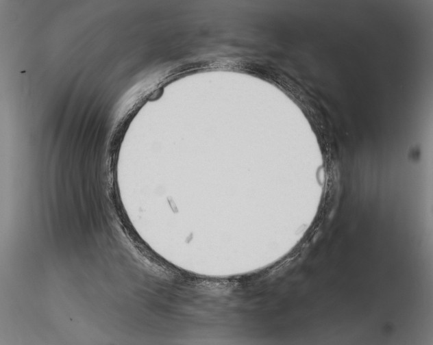 X0000115230245200912111037