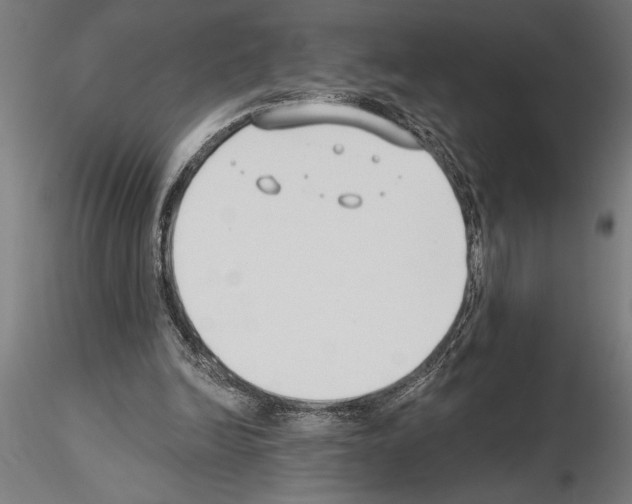 X0000115230246200912111037