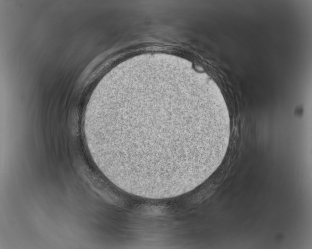 X0000115230247200912111037