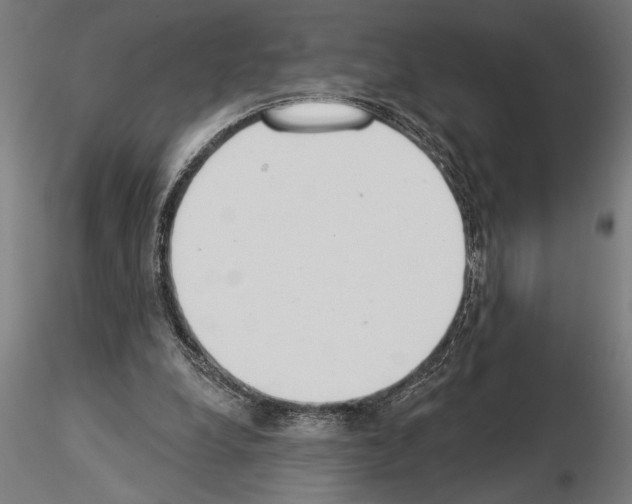 X0000115230248200912111037