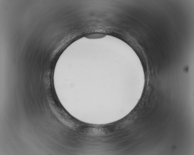 X0000115230250200912111037