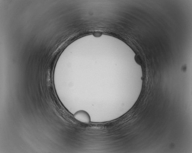 X0000115230251200912111037