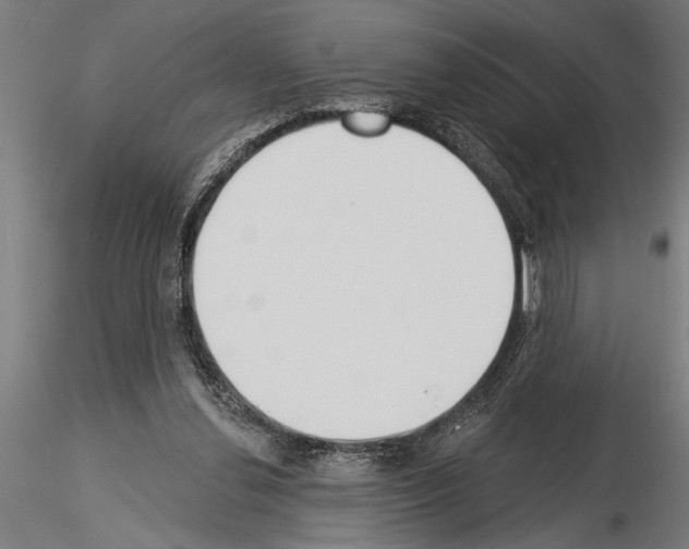 X0000115230252200912111037