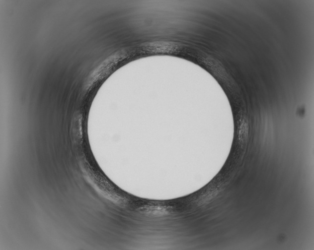 X0000115230254200912111037