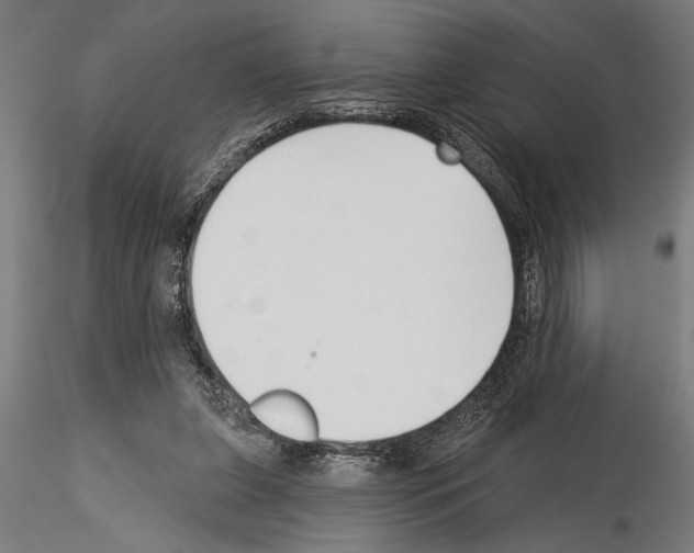 X0000115230255200912111037