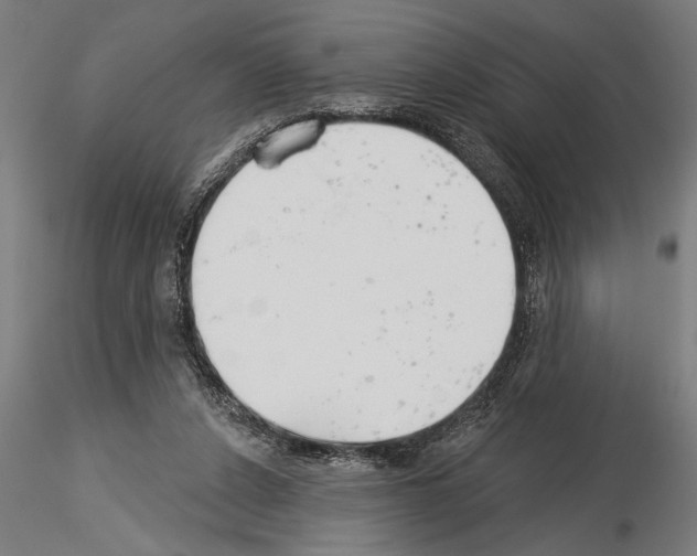 X0000115230256200912111037