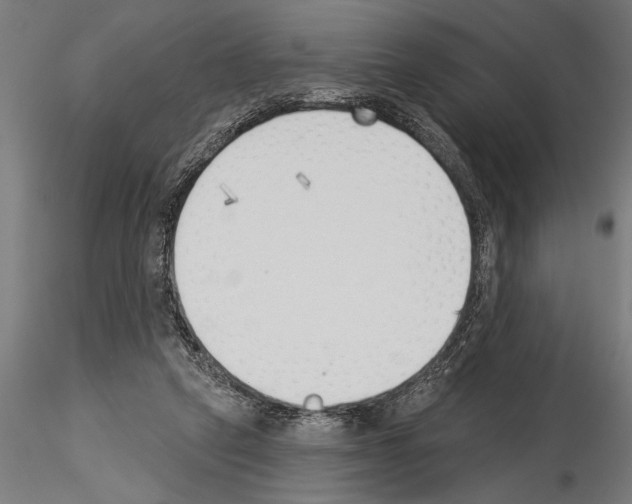 X0000115230257200912111037