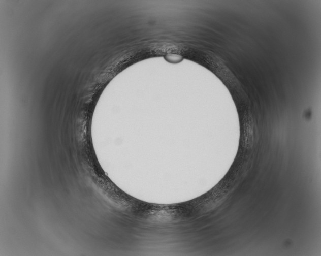 X0000115230259200912111038