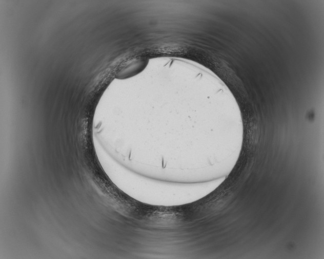 X0000115230260200912111038