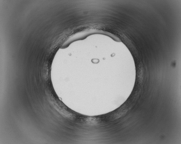 X0000115230261200912111038