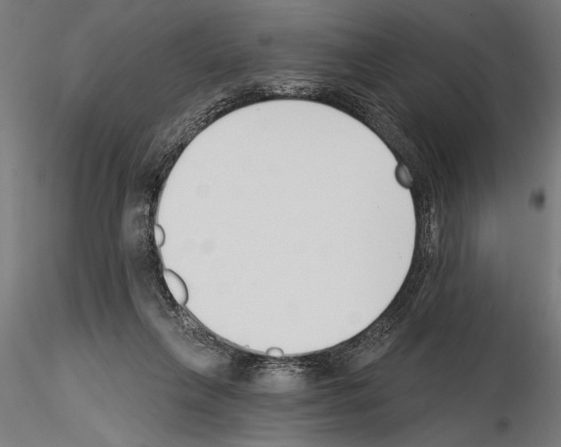 X0000115230263200912111038