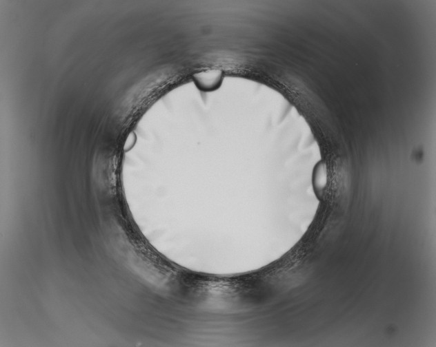 X0000115230264200912111038