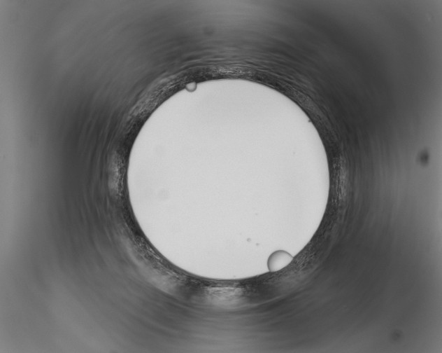 X0000115230266200912111038