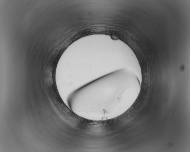 X0000115230267200912111038