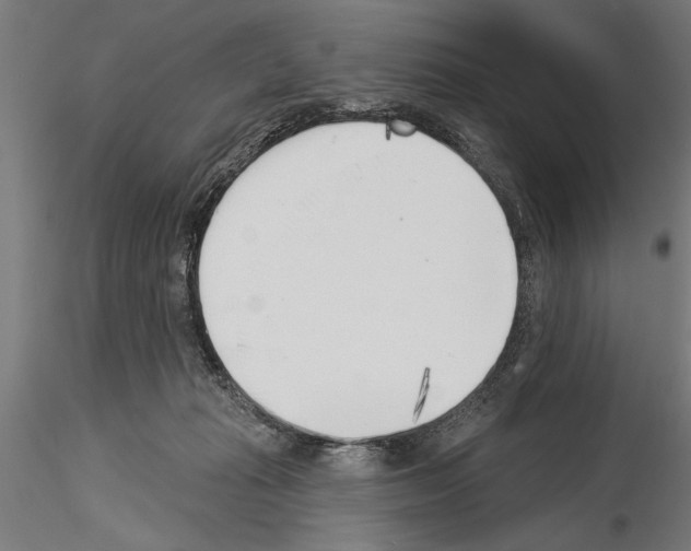 X0000115230269200912111038