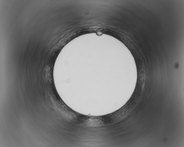 X0000115230270200912111038