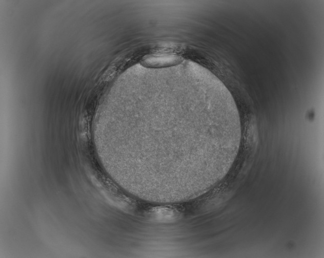 X0000115230272200912111038