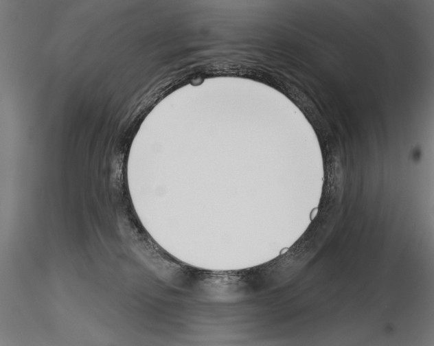 X0000115230278200912111038