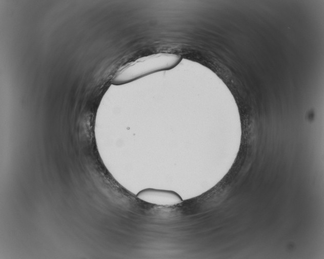 X0000115230280200912111038