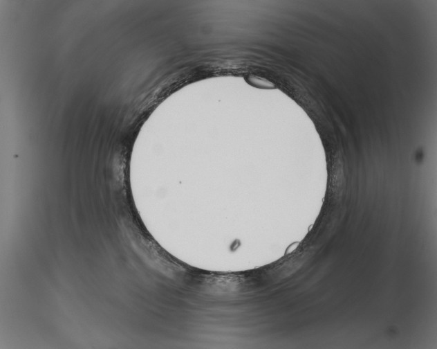 X0000115230282200912111038