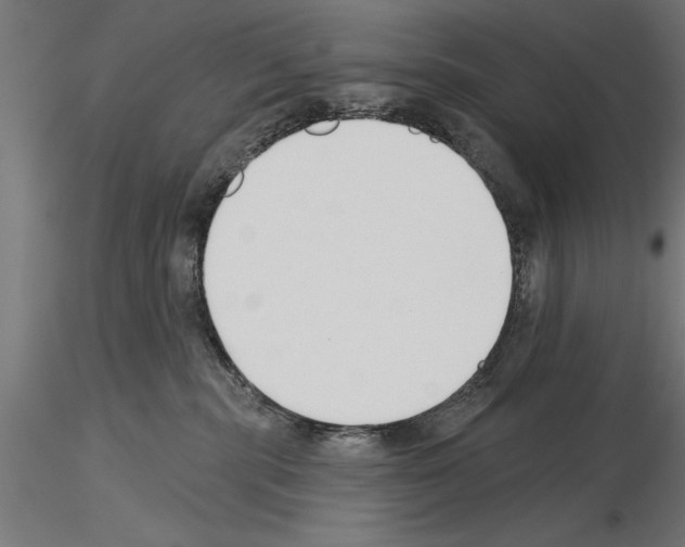 X0000115230283200912111038