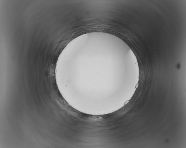 X0000115230284200912111038