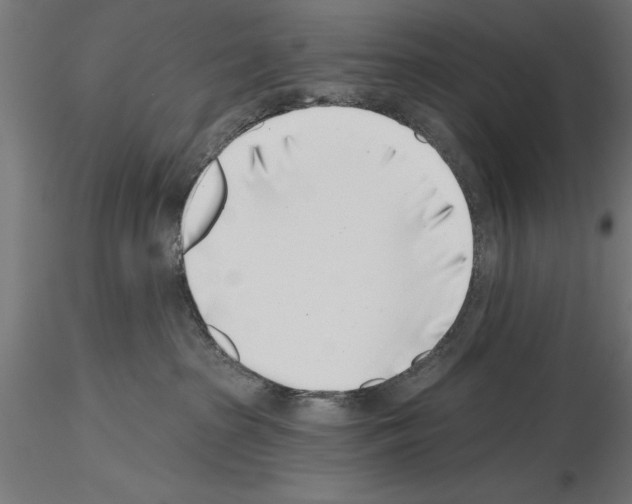 X0000115230285200912111038