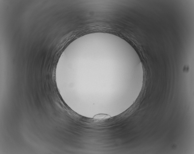 X0000115230288200912111038