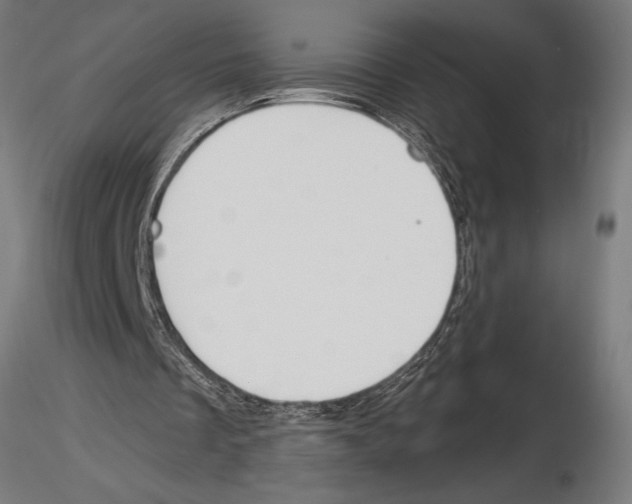 X0000115230289200912111037