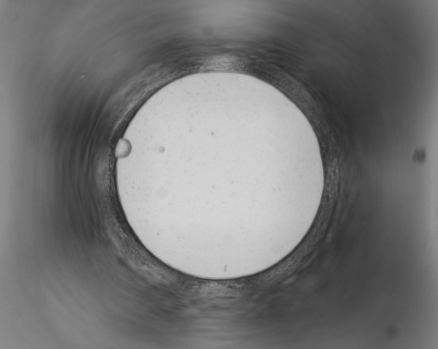 X0000115230290200912111037