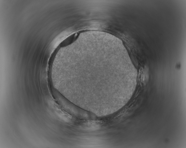 X0000115230292200912111037