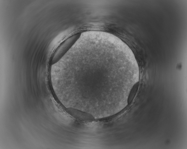 X0000115230293200912111037