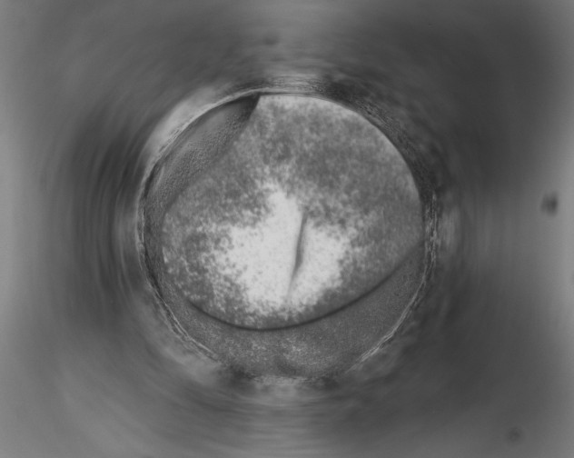 X0000115230294200912111037