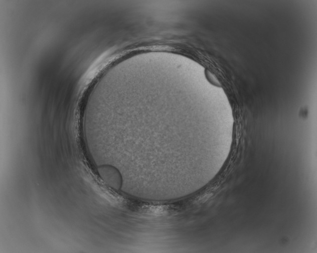 X0000115230295200912111037