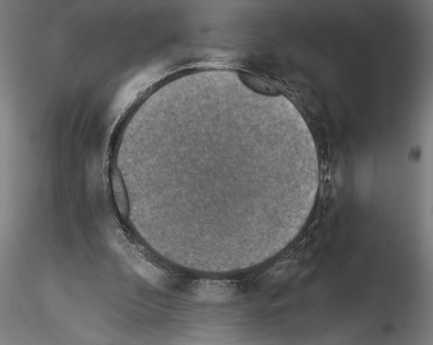 X0000115230296200912111037