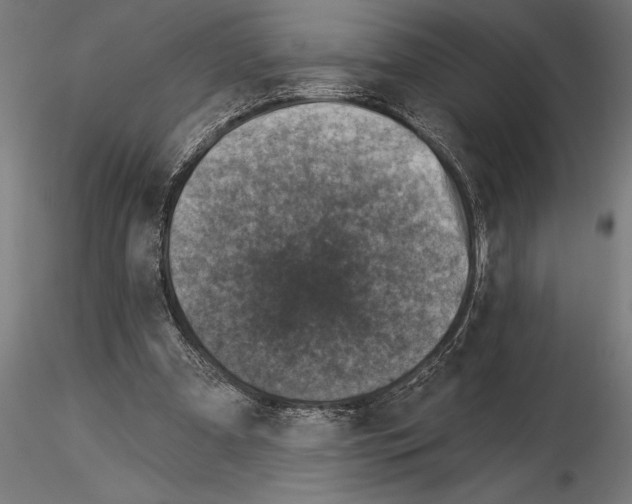 X0000115230297200912111037