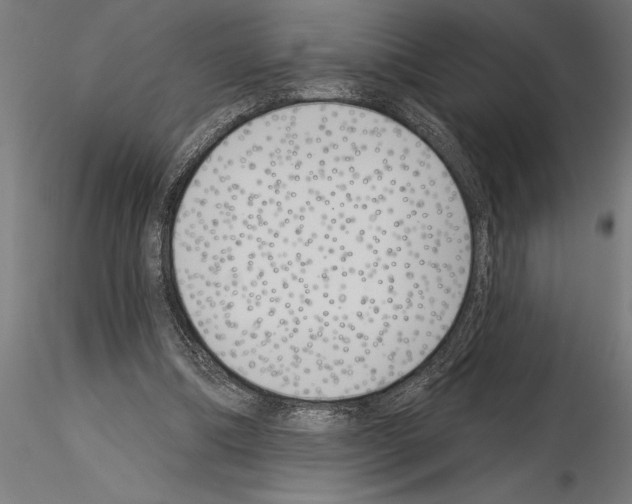 X0000115230298200912111037